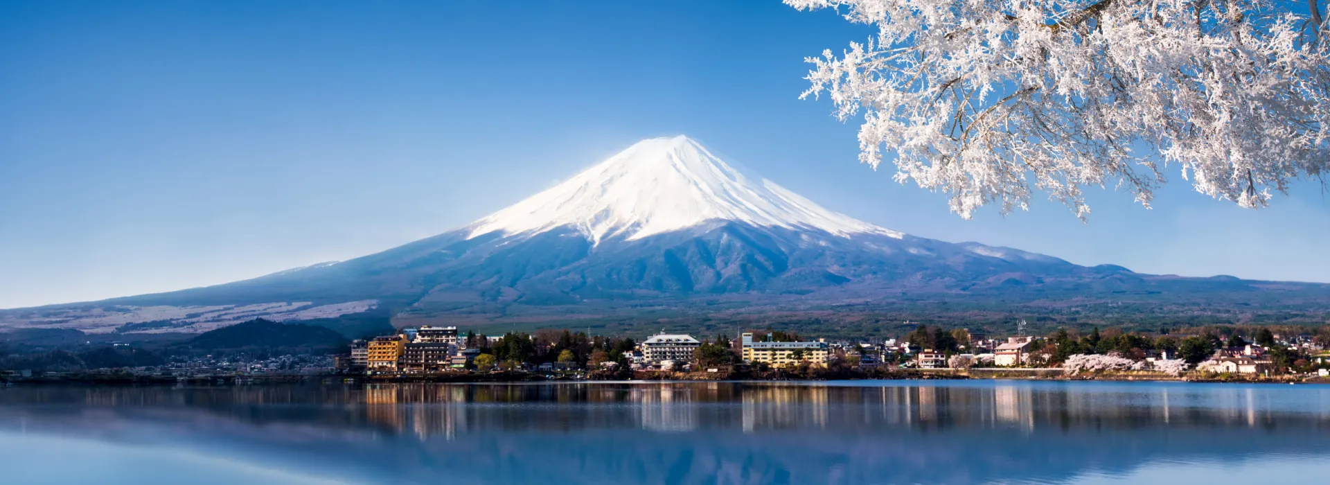 Essence of Japan Cherry Blossom
